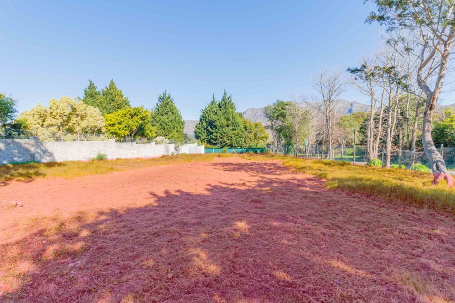 0 Bedroom Property for Sale in Belle Constantia Western Cape